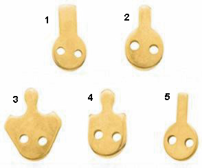 CAMS